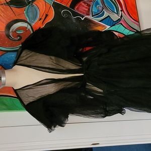 Gorgeous sheer puff sleeve pinup robe